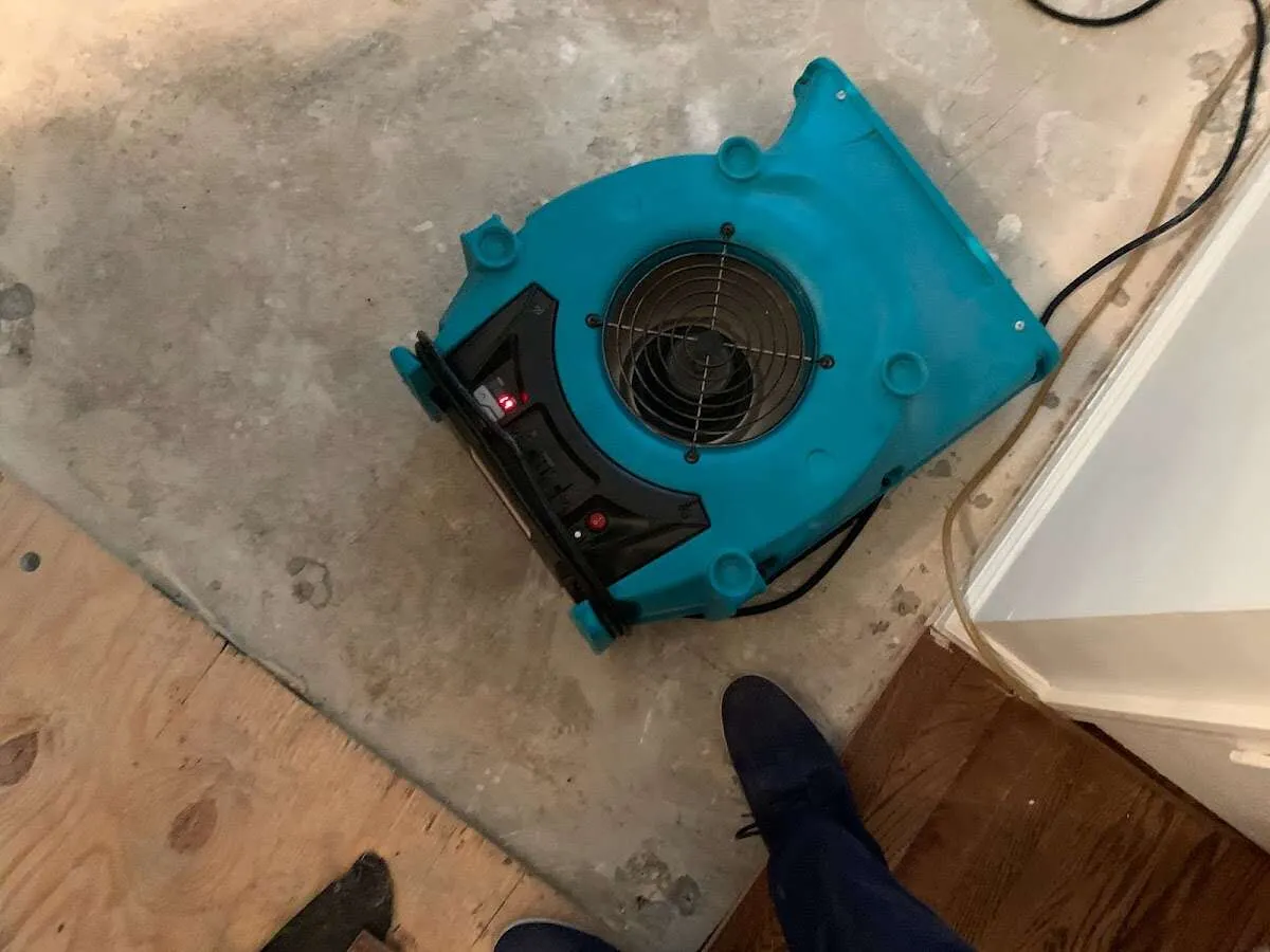 Air mover drying subfloor during Commercial Water Damage Restoration in Bakersfield